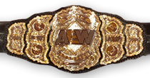 AEW World Champion