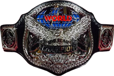 World Classic Tag Team Champion